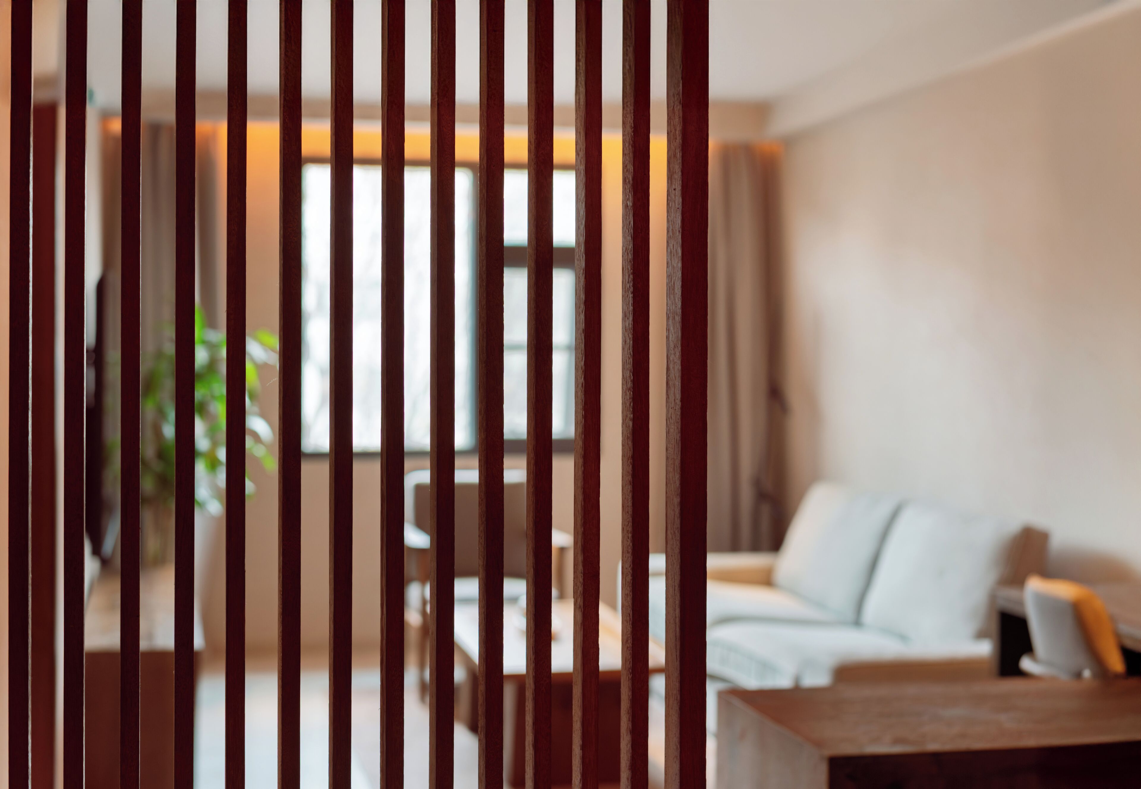 A blurred view of a room with a sofa, a coffee table, and a plant.