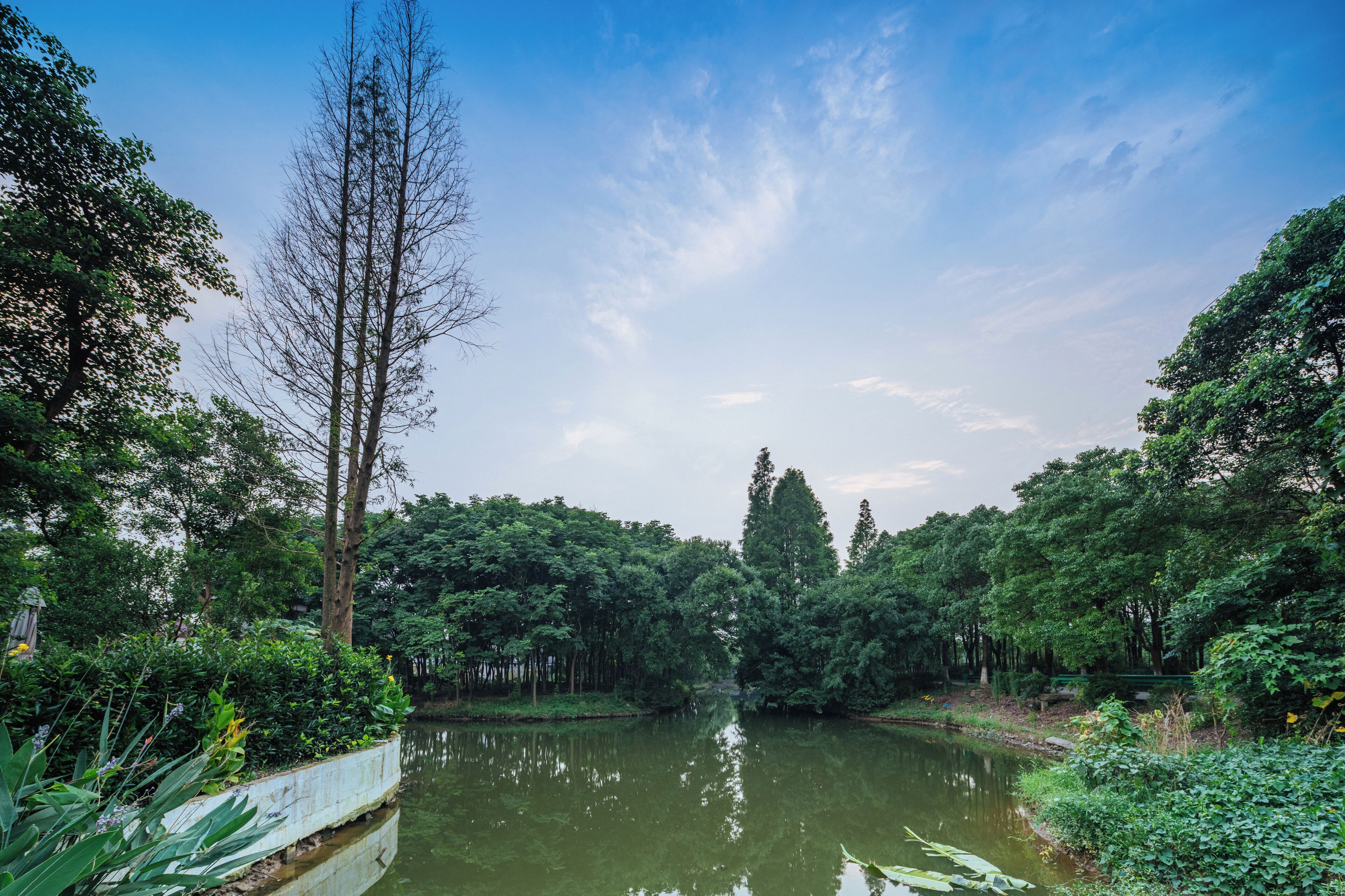 A serene river surrounded by dense greenery and trees.
