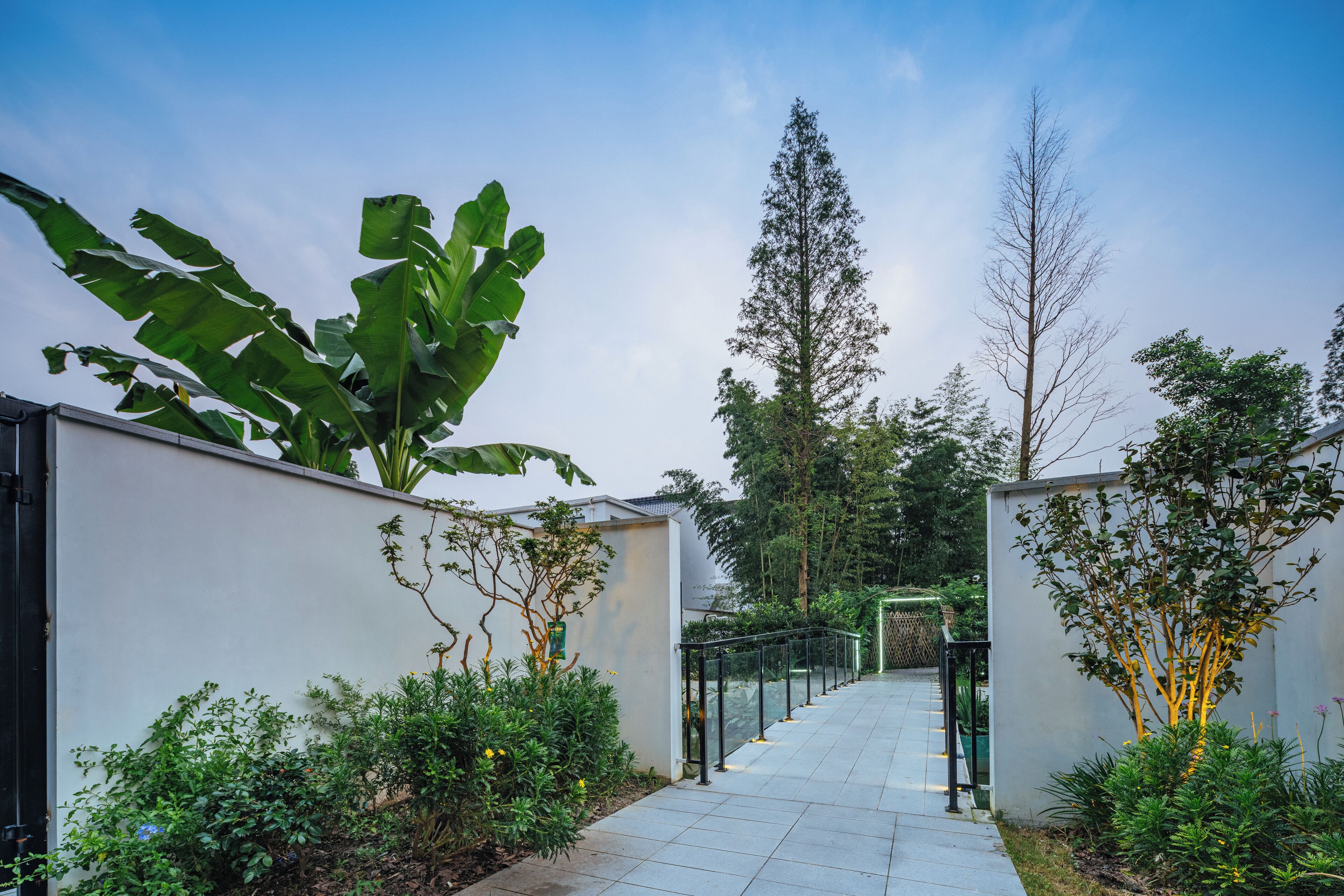 A pathway flanked by white walls and lush greenery, leading to a building entrance.