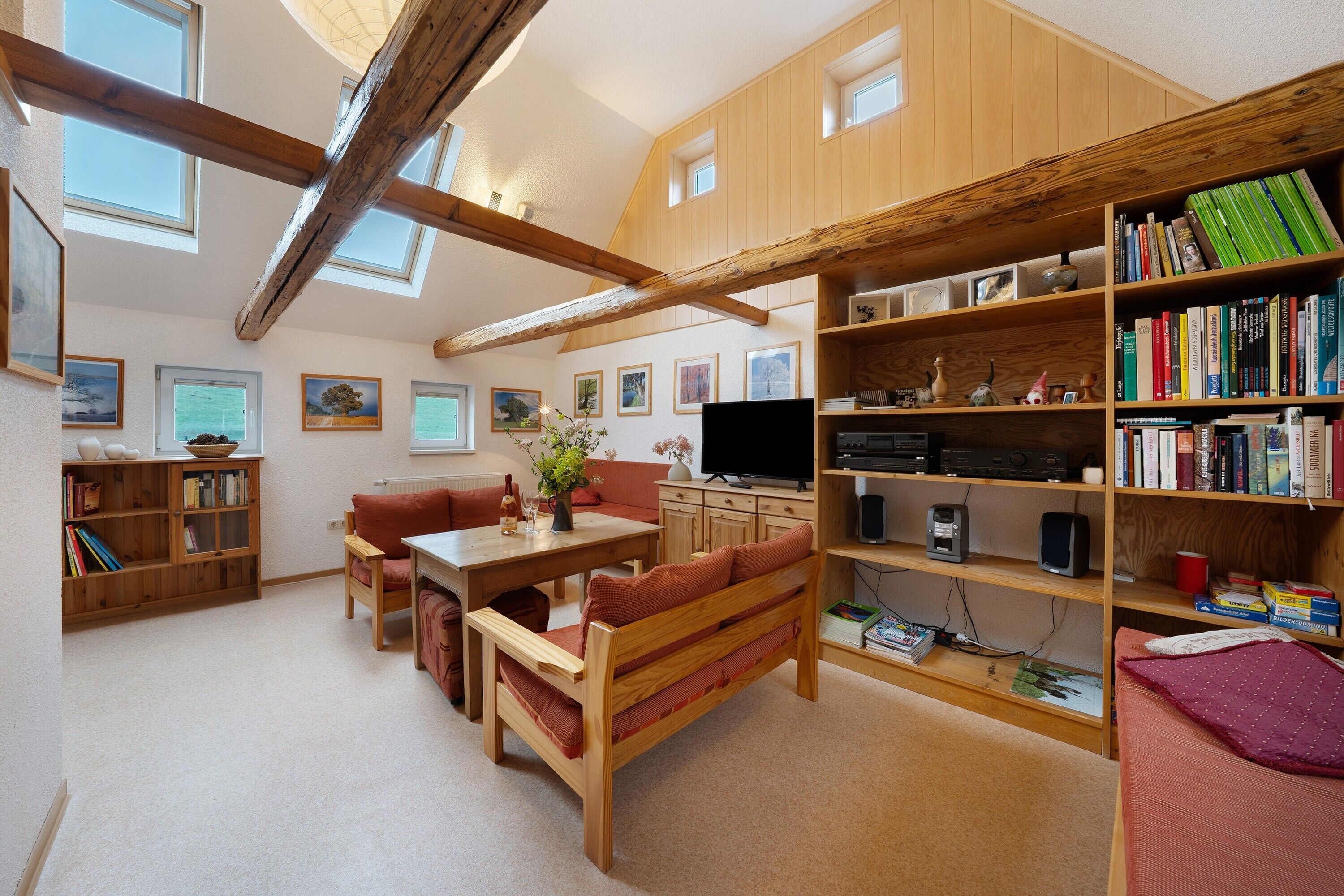 Téléviseur, lecteur de DVD, table de ping-pong, chaîne audio