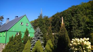 A green house with a sloped roof, surrounded by dense trees and white flowering bushes.