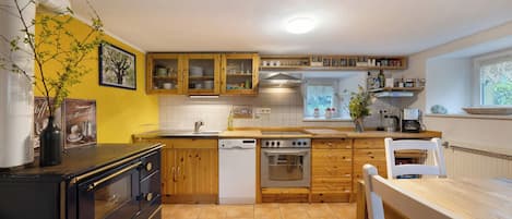 Fridge, oven, stovetop, dishwasher