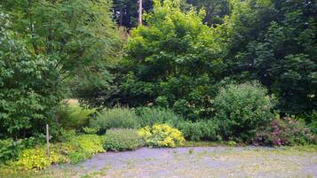 Um jardim com diversas plantas e árvores, um caminho de cascalho e um cercado de madeira.