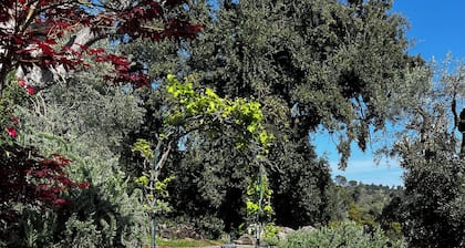 Nature cottage in authentic Greek surroundings. Pelion Peninsula.
