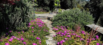 Nature cottage in authentic Greek surroundings. Pelion Peninsula.