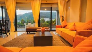 Smart TV, fireplace, books