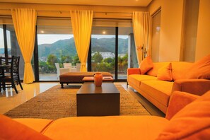 TV connectée, cheminée, livres