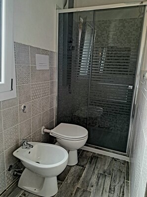 Shower, hair dryer, bidet, towels