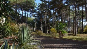 A paved pathway in a park with tall trees and various plants. - Cozy studio apartment for 3 people (Bibione)