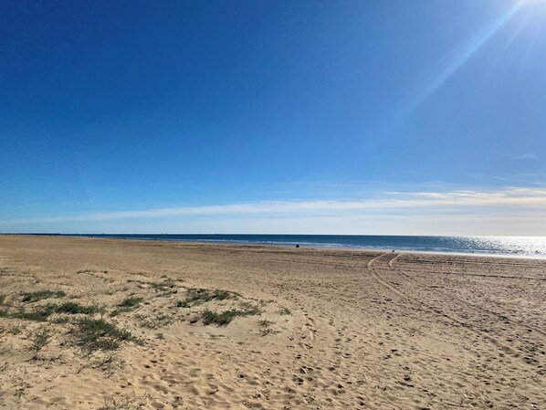Playa