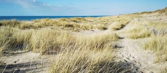 1 bedroom cozy apartment in Carolles