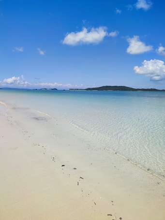 Family Apartment, Balcony, Bay View | Beach/ocean view