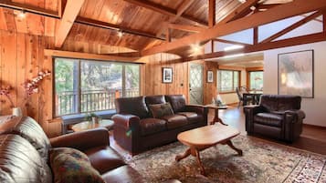 TV, fireplace, offices