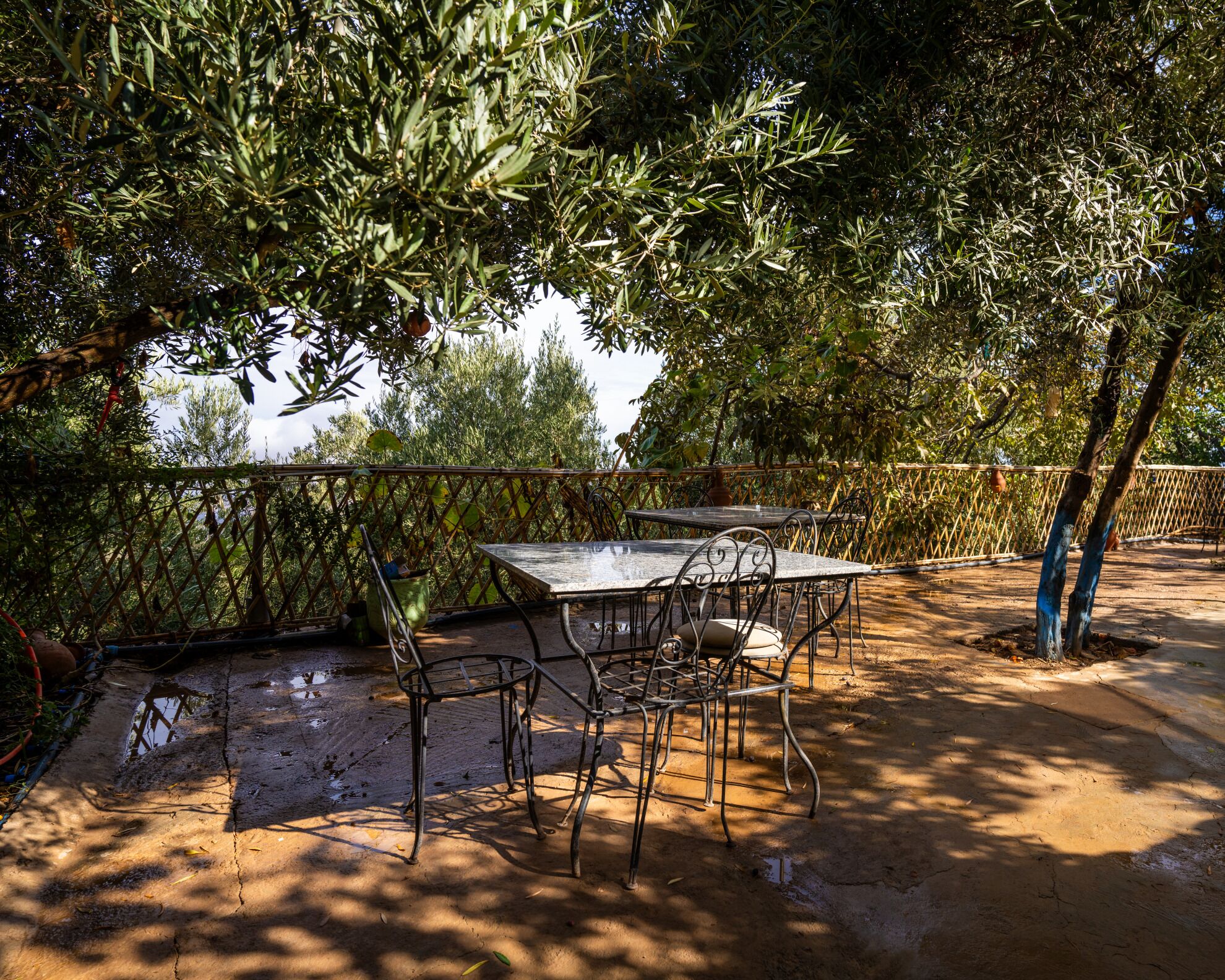 An outdoor patio with a table and chairs, surrounded by a bamboo fence and trees.