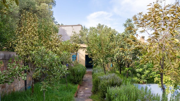 A stone pathway leading to a building with blue doors, surrounded by lush greenery and flowering plants. - Dar Assounfou (Aït Majden)