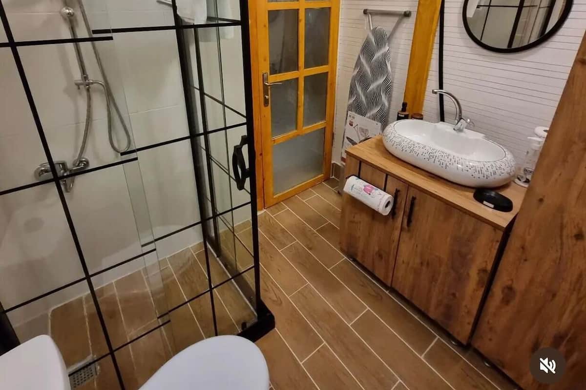 Ducha, secador de pelo, toallas, papel higiénico