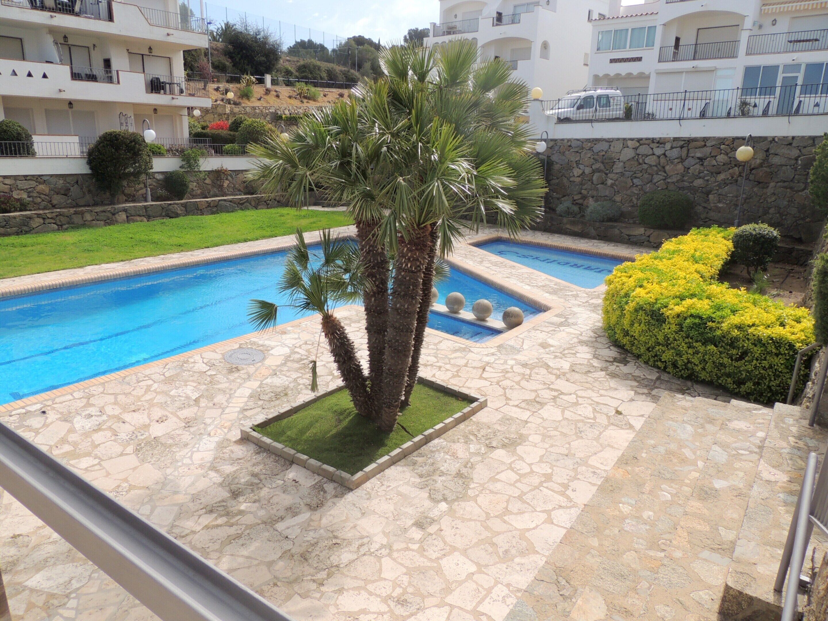 A pool area with stone flooring, palm trees, and a well-maintained hedge.