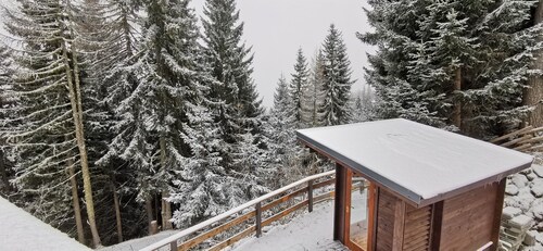 Chalet Alpl: modern renovated apartment in the ski area with sauna, whirlpool & fireplace