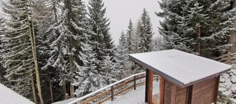 Chalet Alpl: modern renovated apartment in the ski area with sauna, whirlpool & fireplace