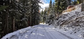 Property grounds - Chalet Alpl: modern renovated apartment in the ski area with sauna, whirlpool & fireplace (Kärnten)