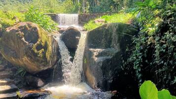 Piscina externa