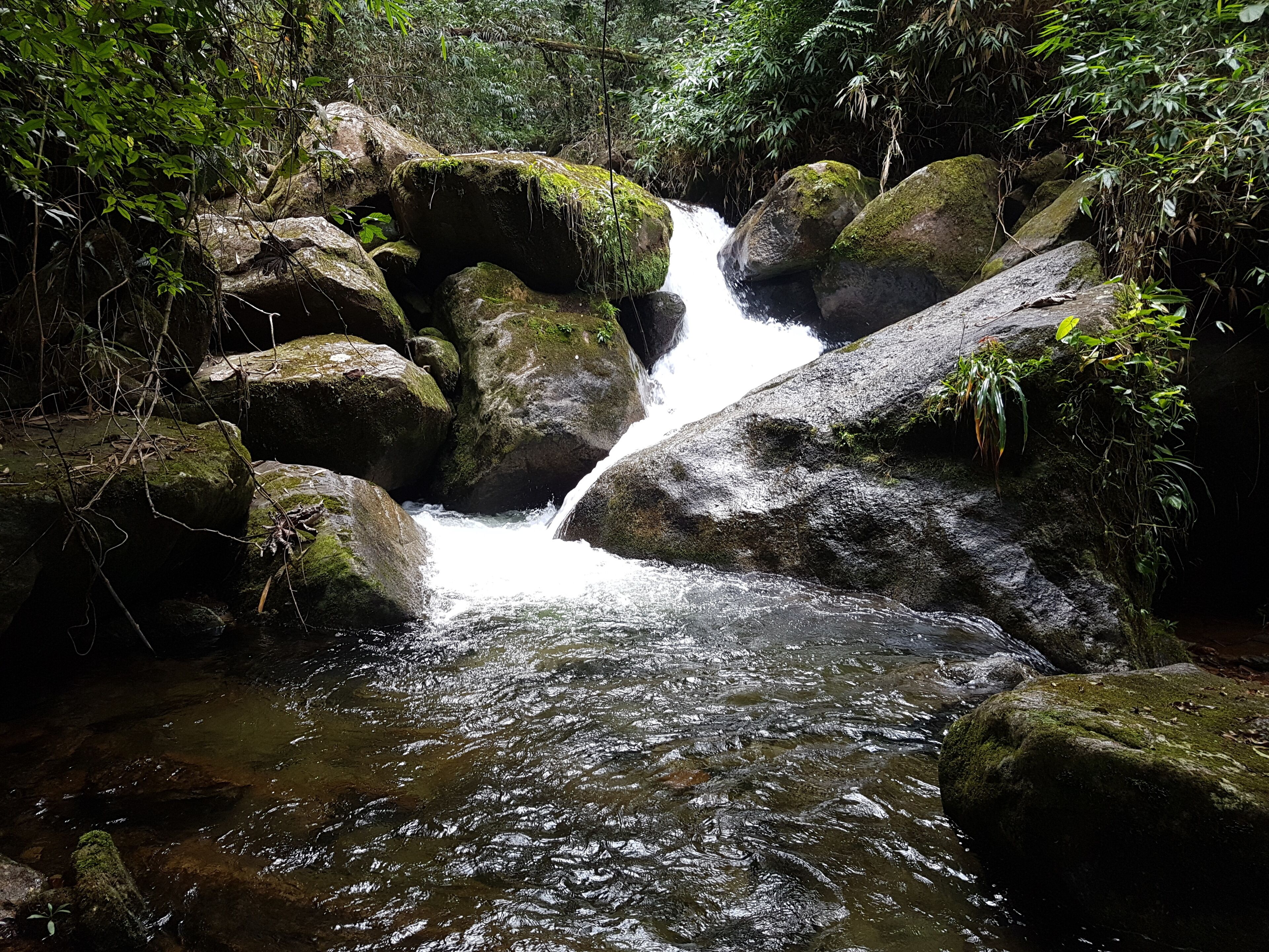 Una cascada natural rodeada de grandes rocas y abundante follaje.