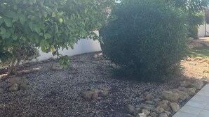 A garden area with a variety of plants, including a palm tree and a small bush, surrounded by rocks and pebbles. - Ayia Thekla Villa Poppeli (Ayia Thekla)