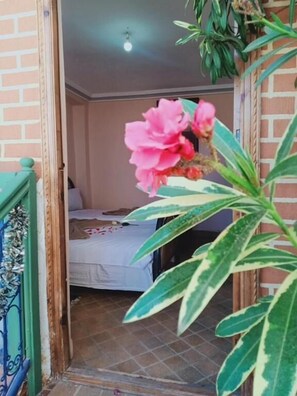 Iron/ironing board, free WiFi - Riad Wink (Marrakech)