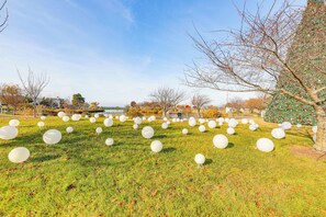A park with numerous white spherical objects on the grass.