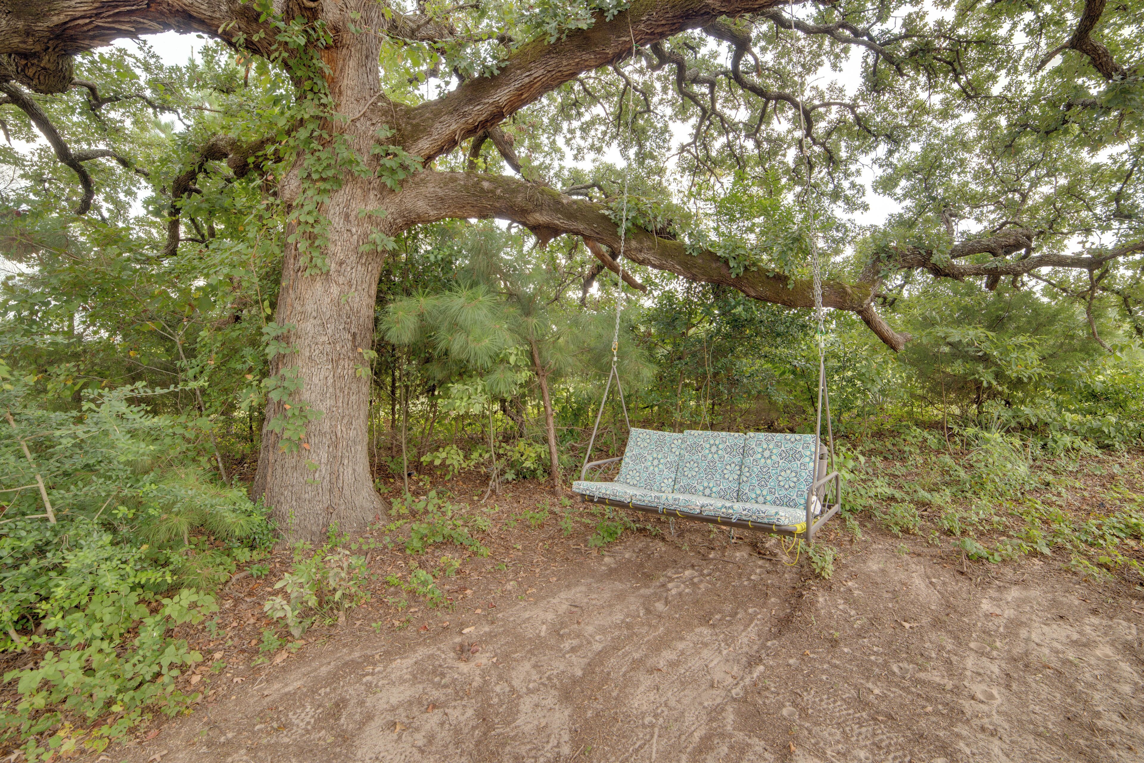 A swing set under a large tree in a wooded area.