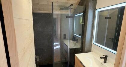 Luxurious 4-room chalet-style apartment. Cœur station d'Auron, 10 pers.