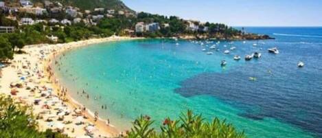 Departamento | Vista desde la propiedad