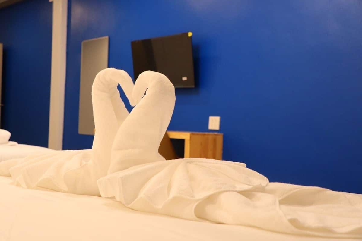Doppia Standard | Biancheria da letto di alta qualità, copriletto in piuma