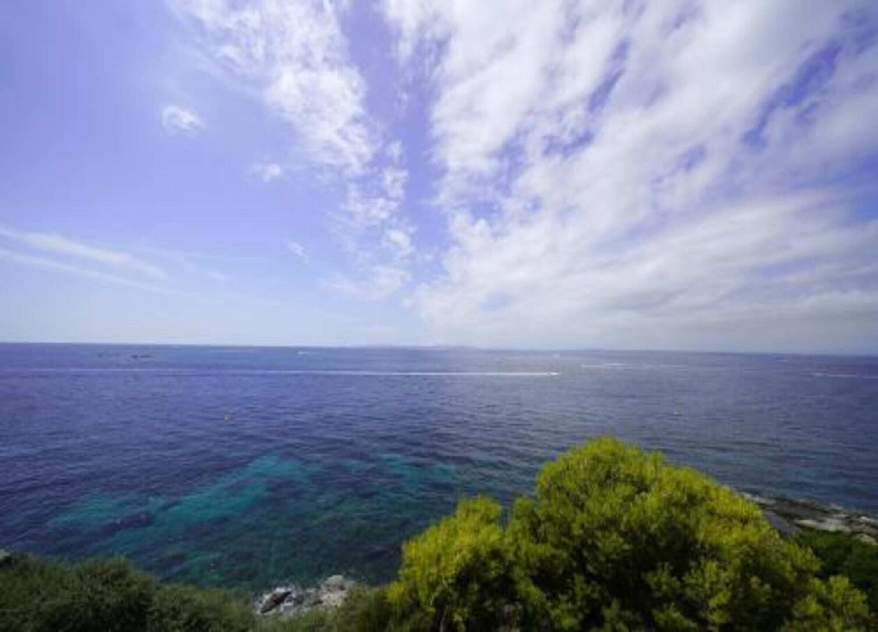 Blick auf die Küste mit Meer, blauem Himmel und etwas Grün im Vordergrund.