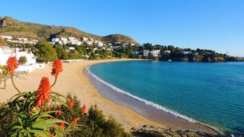 Vista desde la propiedad