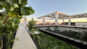 Terraço/pátio