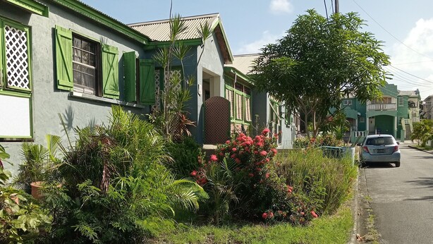 Une rue résidentielle bordée de maisons, d’arbres et où l’on aperçoit une voiture.