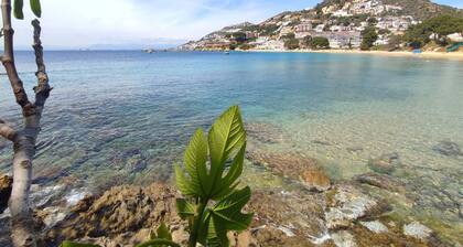 Apartment in Roses Near Sandy Beach