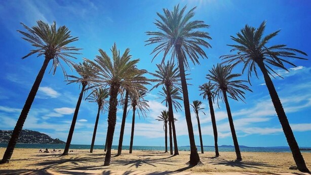 A beach with palm trees and a clear sky. - Apartment in Roses Near Cap de Creus (Roses)