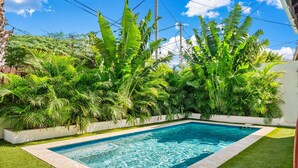 A rectangular pool with clear blue water, surrounded by lush green tropical plants and a white wall. - 4-Min to Eagle Beach* Private Pool* (Noord)
