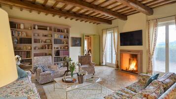 Smart TV, caminetto, libri, monitor per computer