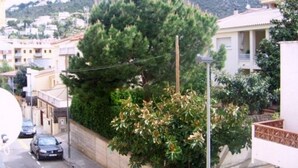 A residential area with houses, a street, and a large tree. - Cozy Apartment With Furniture (Roses)