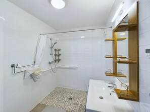 Shower, hair dryer