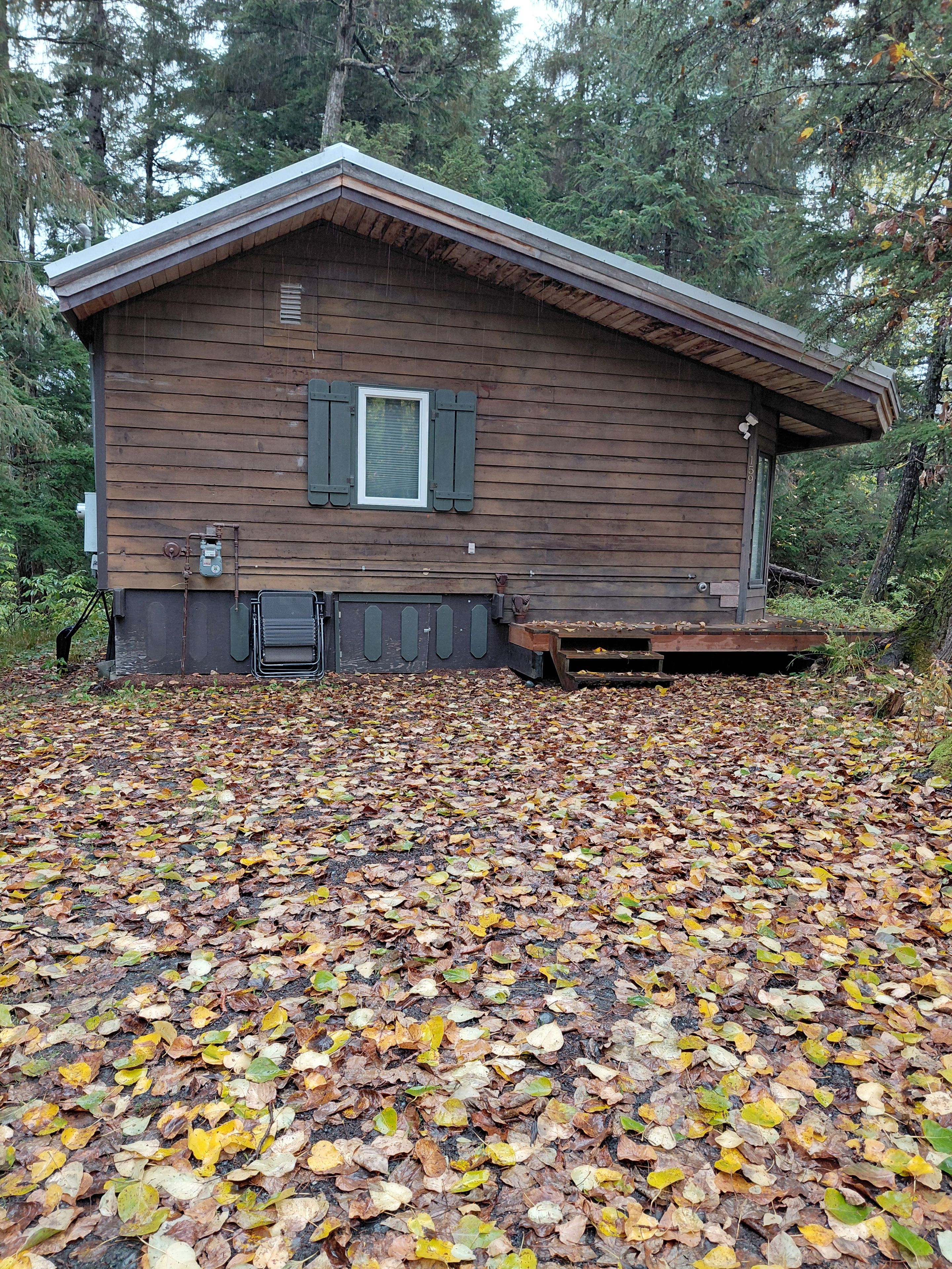 Une cabane en bois dotée d’un porche abrité, entourée d’une forêt.