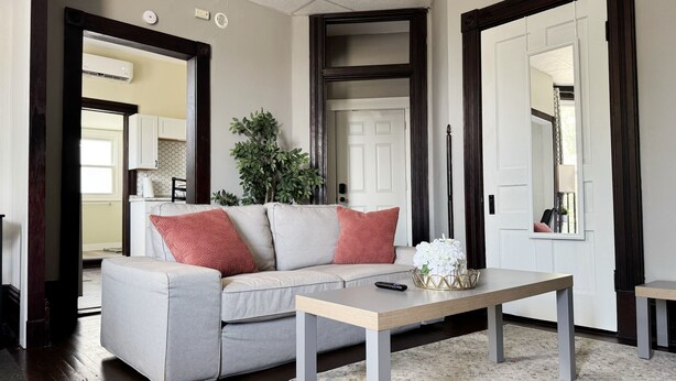 A living room with a grey sofa, a coffee table, and a potted plant.