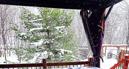 Waterfront cottage with spa, lots of activities nearby