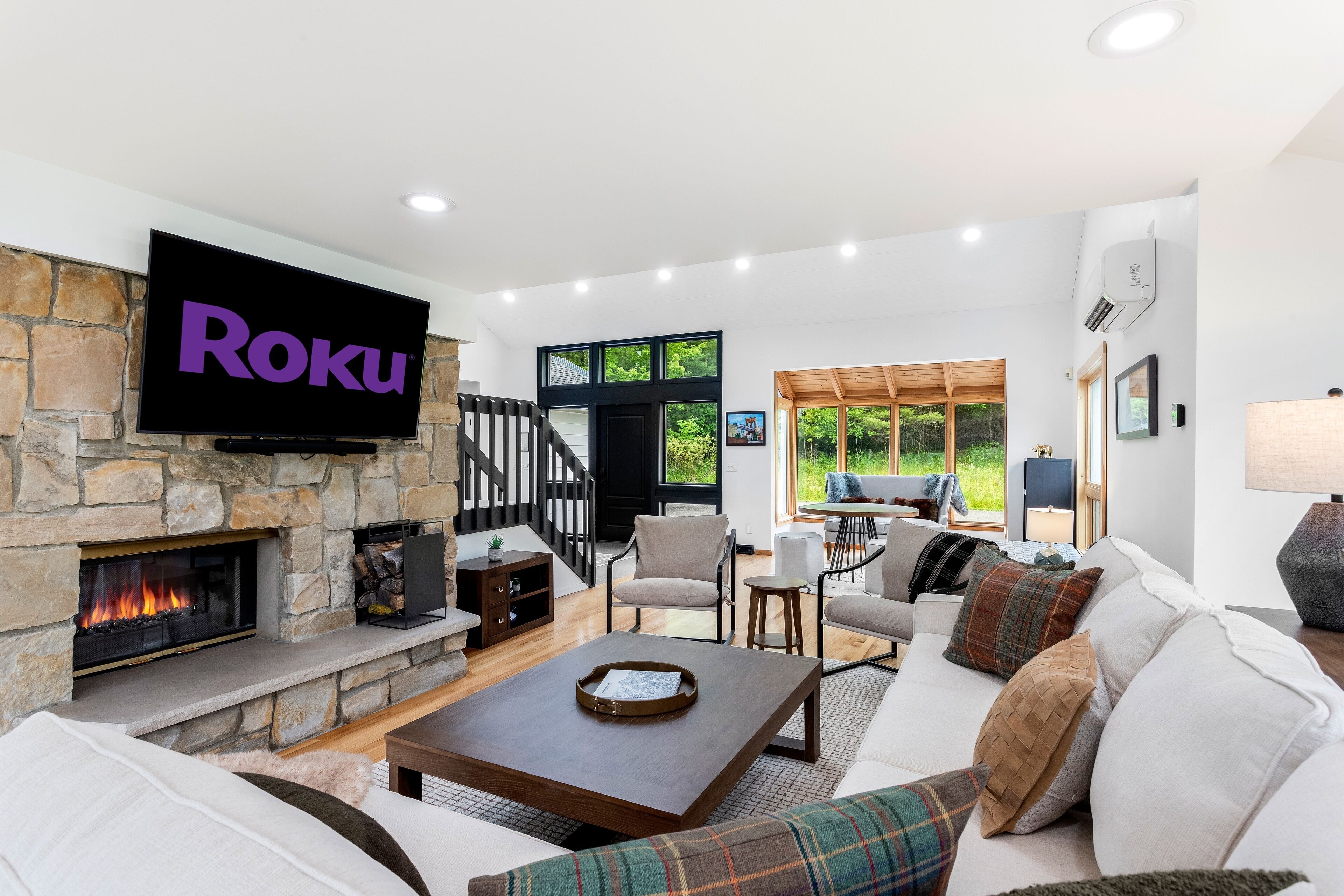 TV, fireplace, books