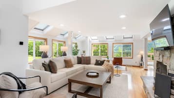 TV, fireplace, books