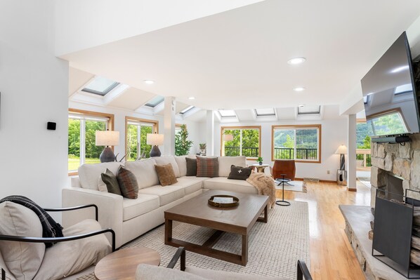 TV, fireplace, books