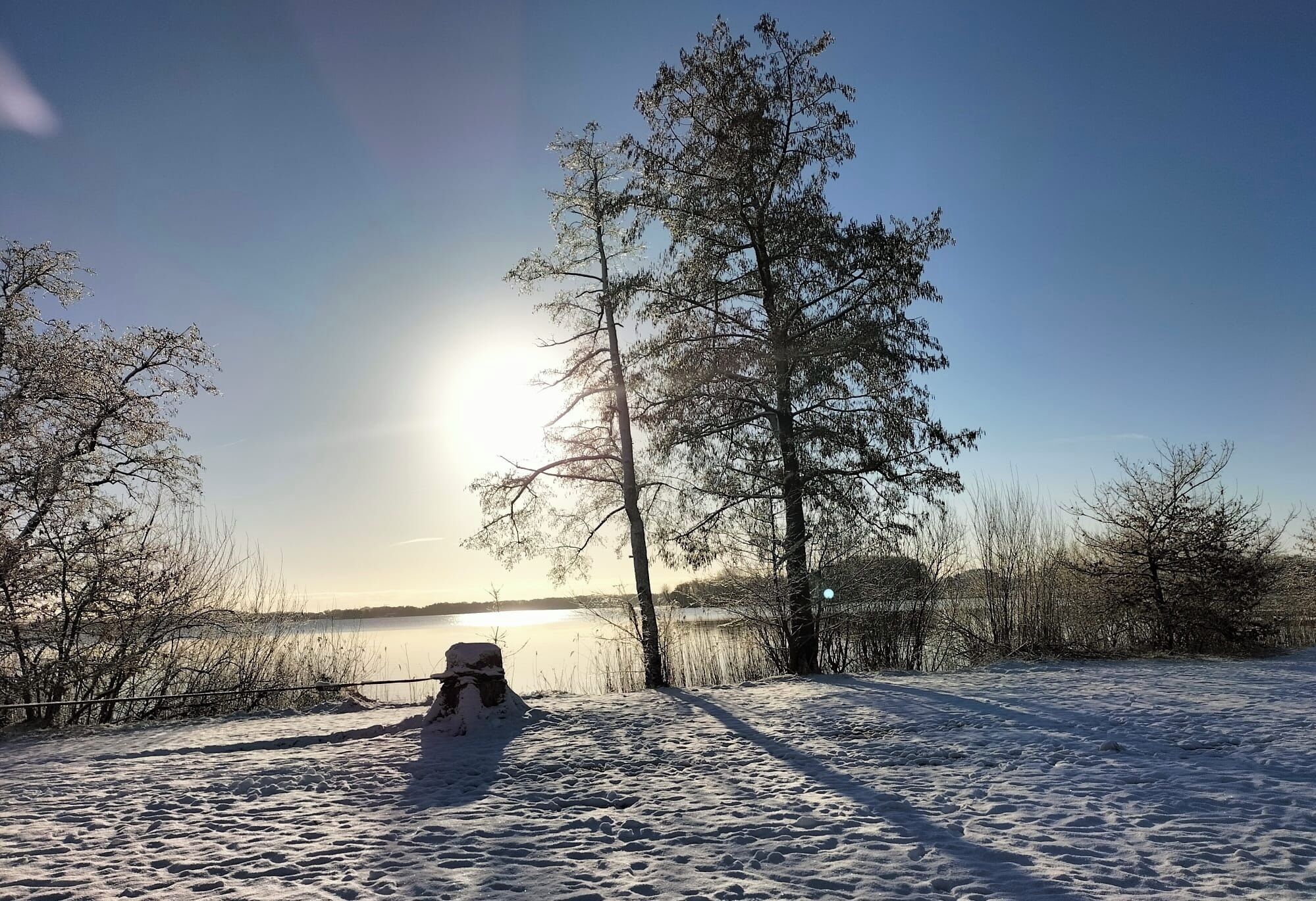 A snow-covered landscape with a clear sky and a body of water in the background.